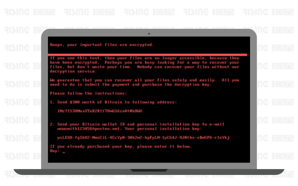 《2017年上半年中国网络安全报告》 - 瑞星与国家信息中心联合发布
